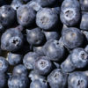 Blueberries Punnet